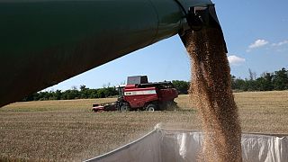 El embargo del cereal ucraniano ha causado problemas diplomáticos entre Polonia y Ucrania