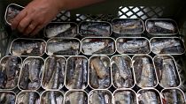 عاملة تضع سمك السردين في علب معدنية بمصنع لتعليب السمك في البرتغال