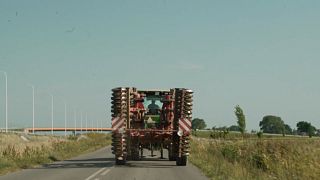Sorgt für Unmut unter den Landwirten: die Ungewissheit über das Einfuhrverbot von ukrainschem Getreide