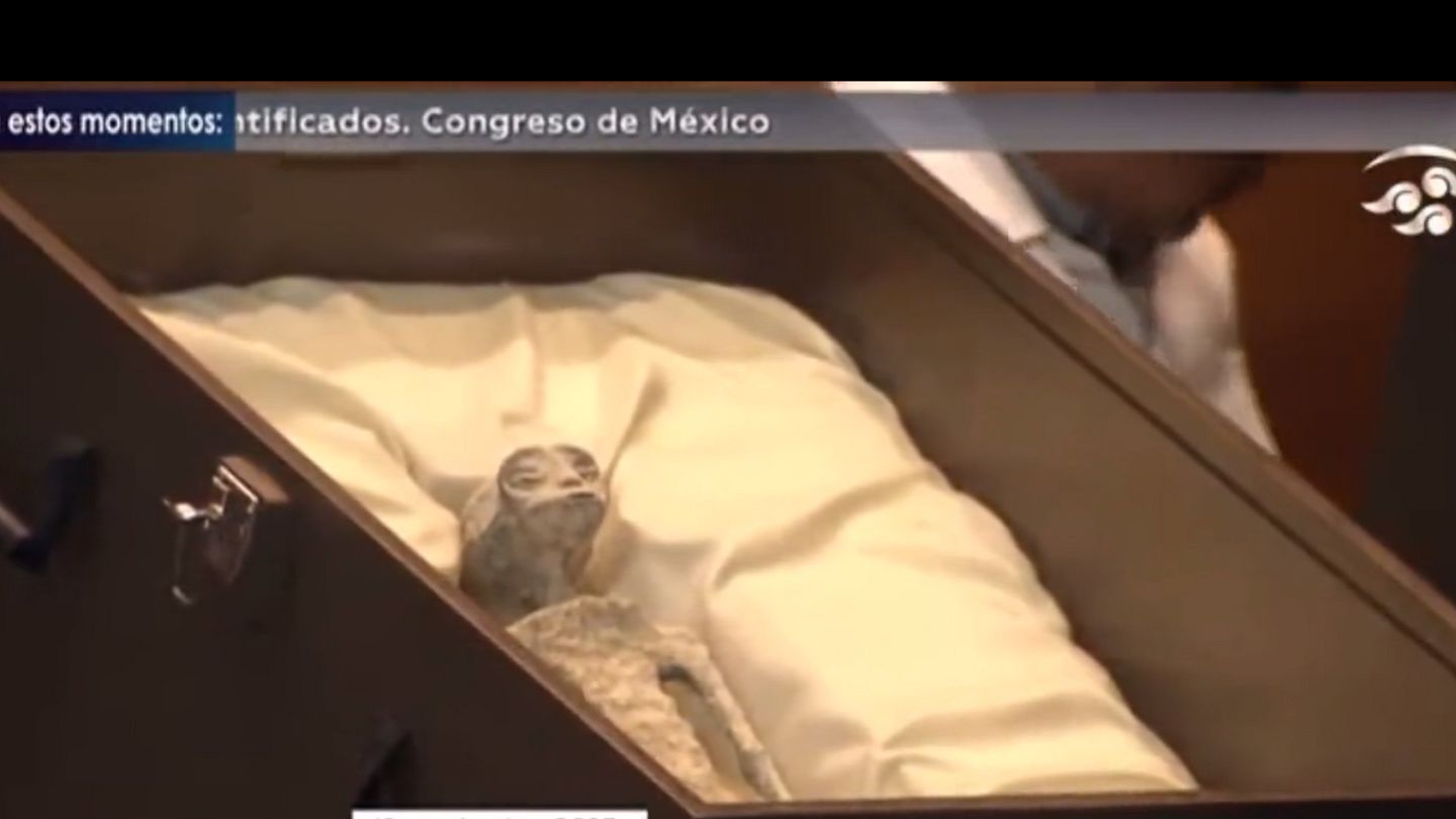 Mexico's Alien Bodies Analysed, Eggs Found