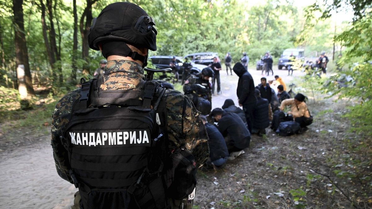 Sırbistan polisi sınır boyunca 371 göçmeni gözaltına aldığını açıkladı