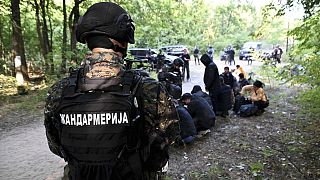 Sırbistan polisi sınır boyunca 371 göçmeni gözaltına aldığını açıkladı