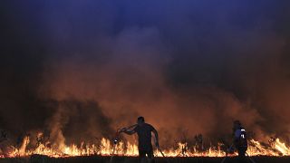 حرائق الغابات في إندونيسيا