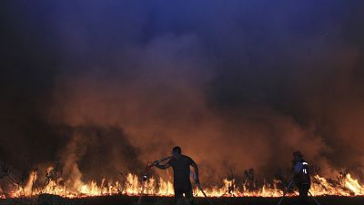 حرائق الغابات في إندونيسيا