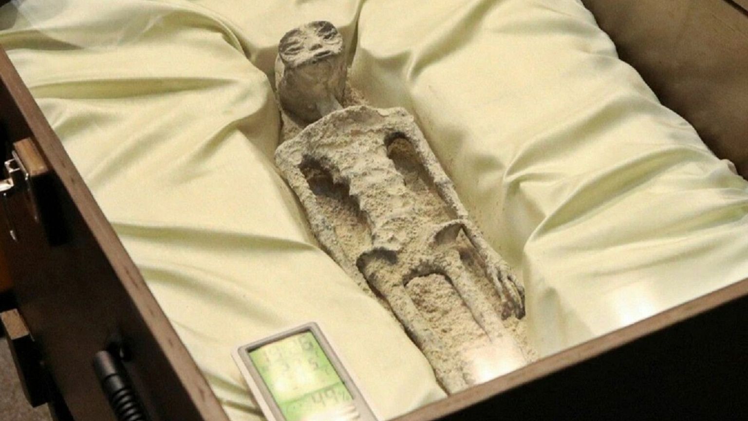 Dos supuestos cuerpos de seres "no humanos" se exhiberon en el Congreso mexicano.
