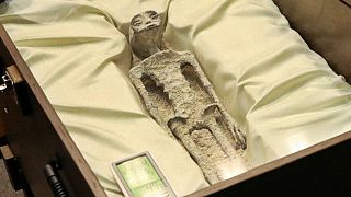 Dos supuestos cuerpos de seres "no humanos" se exhiberon en el Congreso mexicano.