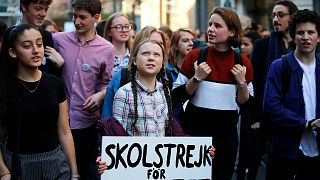 Fünf Jahre nach Beginn der von der schwedischen Aktivistin Greta Thunberg ins Leben gerufenen Bewegung diskutieren europäische Forscher über den globalen Klimastreik.