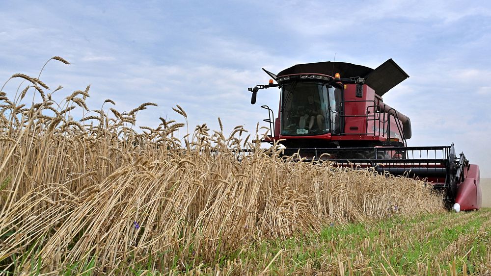 Європейський Союз скасовує заборону на українське зерно, оскільки Київ зобов’язується уникати нових спотворень ринку