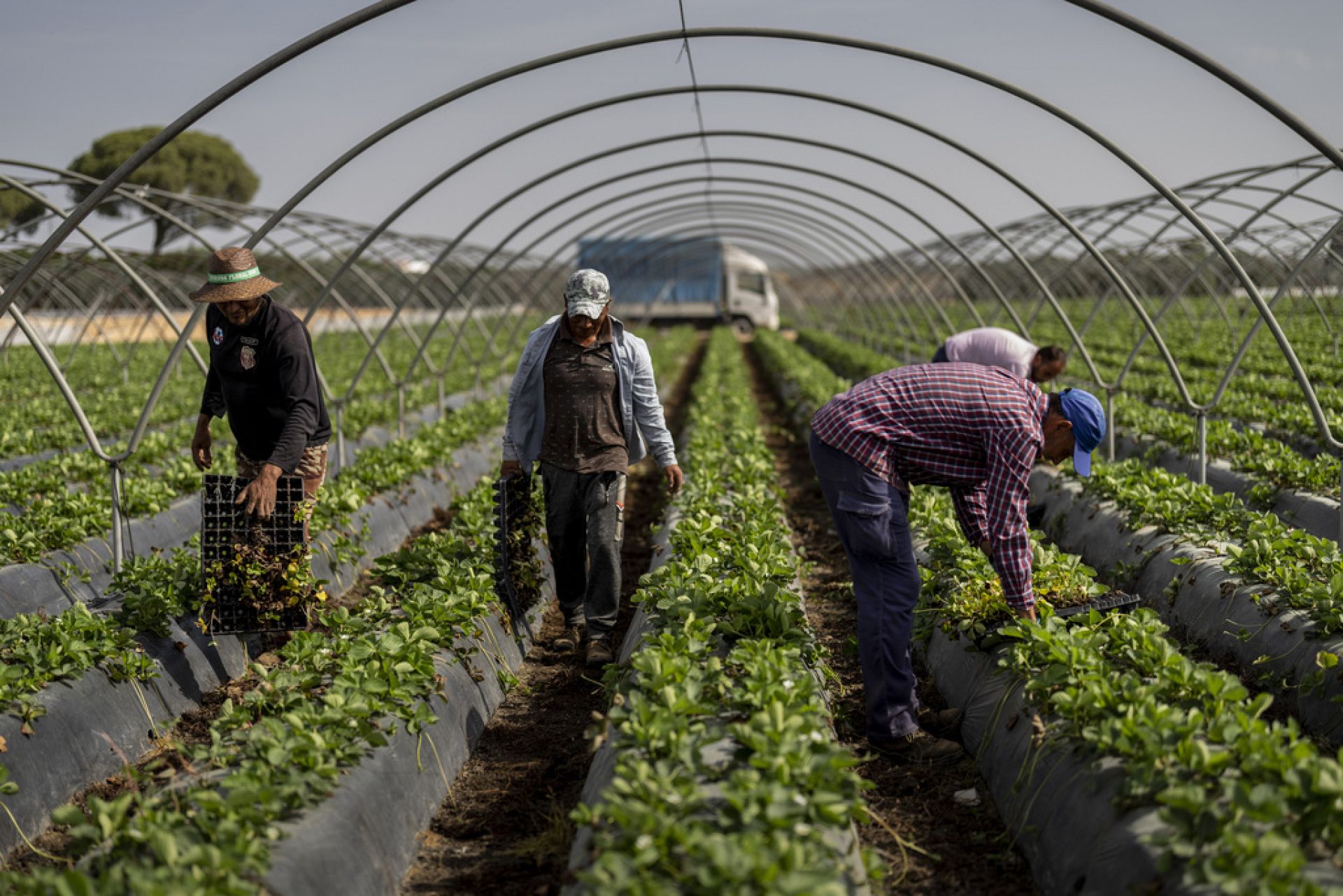 Spain can help the rest of Europe learn how to tackle the water crisis ...