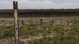 A water meter stands in a dry wetland in Donana natural park, southwest Spain, on Oct. 19, 2022. 