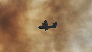 Un avión Canadair lanza agua sobre un incendio forestal en Anglet, suroeste de Francia, 2020.