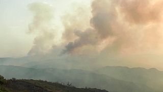 Algérie : la forêt de Bejaïa de nouveau en proie aux flammes