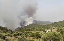 حرائق غابات في منطقة بورباتاش الجبلية بالجزائر- 24 يوليو 2023.