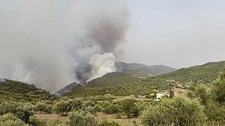حرائق غابات في منطقة بورباتاش الجبلية بالجزائر- 24 يوليو 2023.