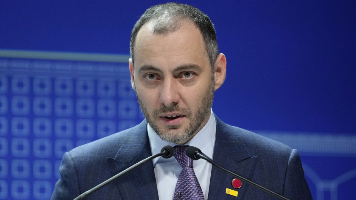 Ukrayna Başbakan Yardımcısı Oleksandr Kubrakov