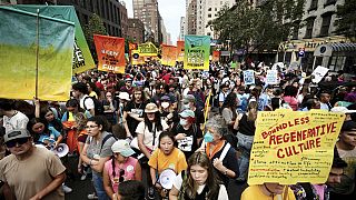 Tausende demonstrieren in New York