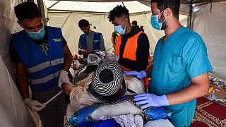 Morocco earthquake: volunteer doctors mobilized in devastated regions
