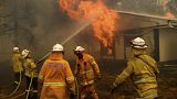 Des pompiers tentent d'éteindre le feu