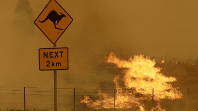 Buschbrand nahe der Stadt Canberra - 2020 Archiv
