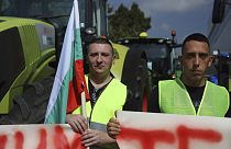 Eine Demonstration bulgarisher Bauern