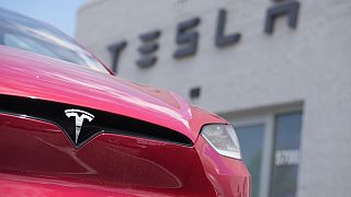 Tesla'nın şu anda altı fabrikası bulunuyor ve yedincisini Meksika'nın kuzeyindeki Nuevo Leon eyaletinde inşa ediyor