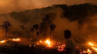 Ein Blick auf die Flammen eines brennenden Waldes im Dorf Dikela in der Nähe der Stadt Alexandroupolis in der nordöstlichen Region Evros, Griechenland, 22\. August 2023.