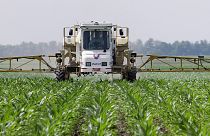 Glyphosate has been used in farming products for years