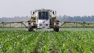 Glyphosate has been used in farming products for years