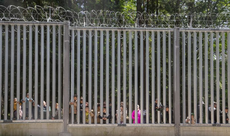 پناهجویان در پشت دیوار مرزی لهستان و بلاروس
