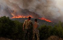 Flames burn a forest during wildfires near the village of Sykorrahi in the northeastern Evros region of Greece, 23 August 2023.