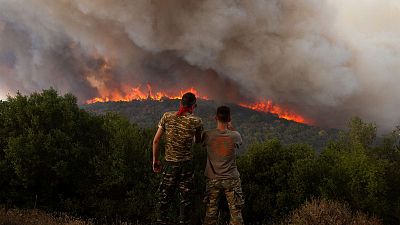 Flames burn a forest during wildfires near the village of Sykorrahi in the northeastern Evros region of Greece, 23 August 2023.