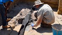 کشف سازه چوبی نیم میلیون ساله در زامبیا