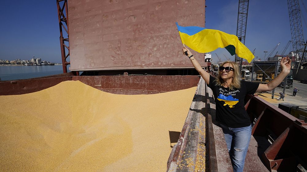 Ukraine and Slovakia reach deal on grain as Brussels threatens lawsuit