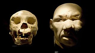   عرض جمجمة لإنسان هايدلبرغ، على اليسار، وإعادة البناء المفترضة لوجهه كجزء من معرض "أتابوركا والتطور البشري" في المتحف الأثري الوطني في مدريد، إسبانيا، 16 ديسمبر 2005.