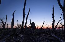 Ukrainian servicemen walk through a charred forest at the frontline a few kilometers from Andriivka, Donetsk region, Ukraine