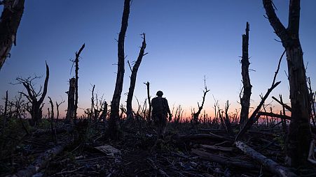 Ukrainian servicemen walk through a charred forest at the frontline a few kilometers from Andriivka, Donetsk region, Ukraine