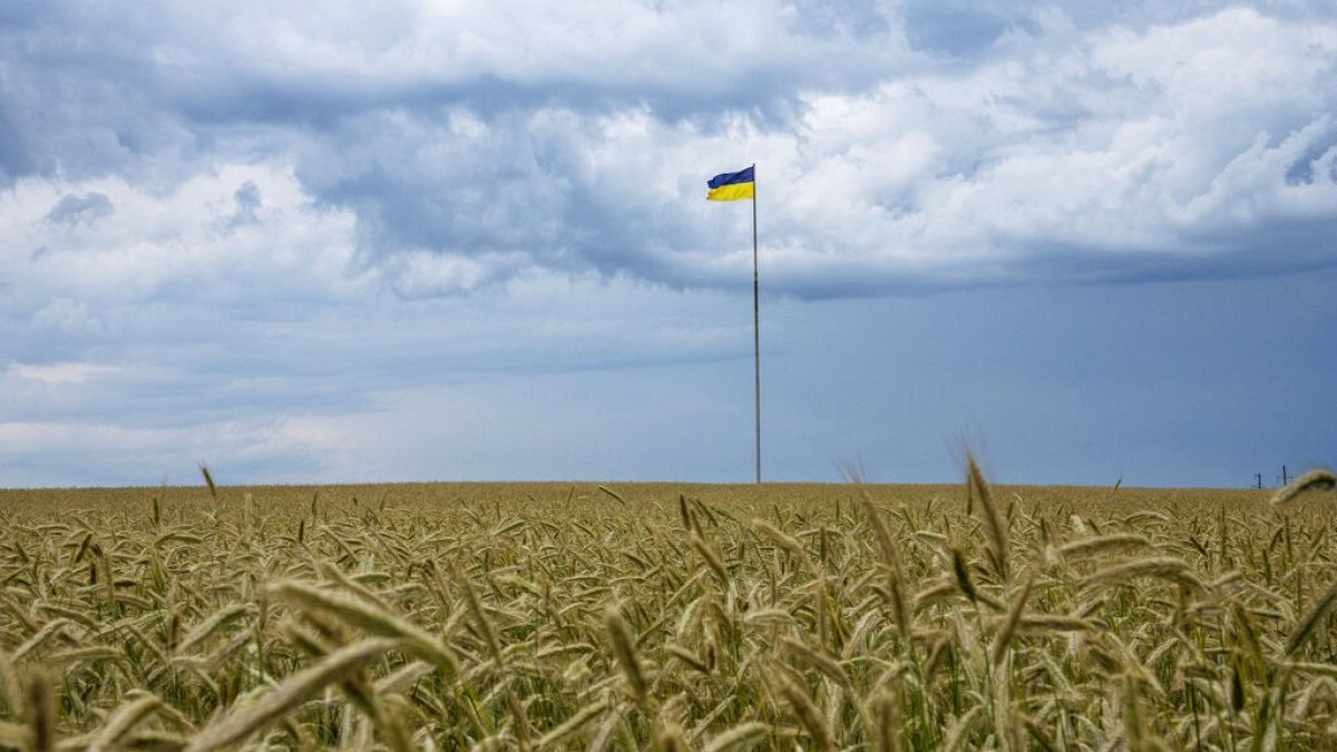 Polonia dispuesta a revisar las propuestas para ayudar al tránsito ucraniano, si se protege a los agricultores polacos.