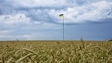 Die Getreideausfuhr beeinträchtigt die Beziehung zwischen Polen und der Ukraine