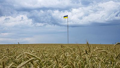 Céréales ukrainiennes, 2022.