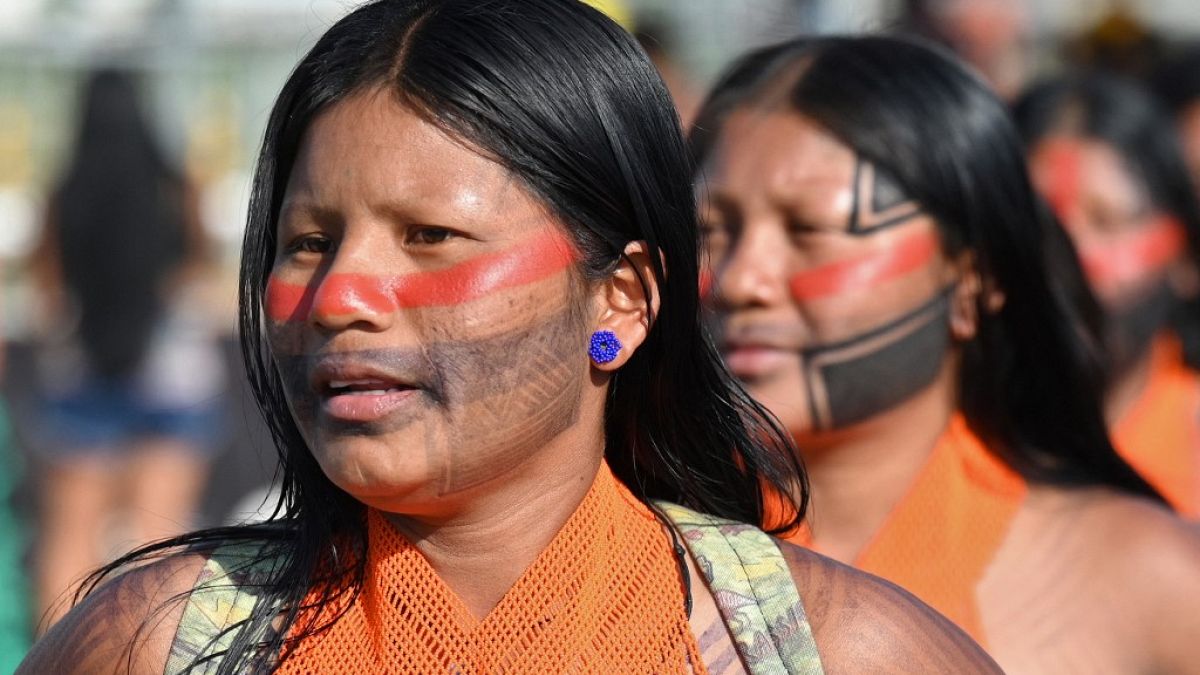 Video. Supreme court ruling in Brazil returns land to indigenous people