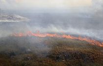 A wildfire is seen near Palermo, Sicily, Italy, between Montelepre and Villabate