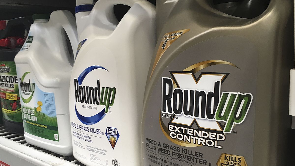 Monsanto's product Roundup, which contains glyphosate, has been classified as a "probable carcinogen" for humans