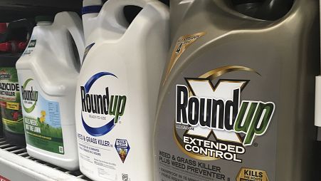 Monsanto's product Roundup, which contains glyphosate, has been classified as a "probable carcinogen" for humans