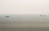 Cargo ships sail through a temporary corridor after leaving the southern Ukranian port of Odessa earlier this month