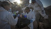 Equipas de resgate recuperam o corpo de uma vítima morta durante enchentes em Derna, Líbia, sexta-feira, 15 de setembro de 2023.