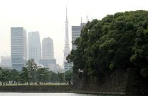 مجمع القصر الإمبراطوري مع خلفية برج طوكيو، اليابان. 