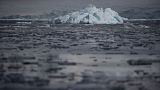 An iceberg floats near Two Hummock Island, Antarctica, February 2020.