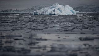 Айсберг вблизи острова Два Хаммока, Антарктида, февраль 2020 г.