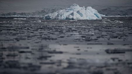 An iceberg floats near Two Hummock Island, Antarctica, February 2020.