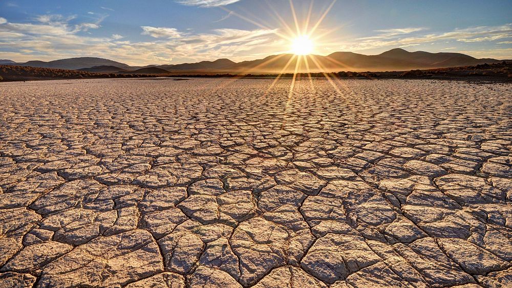 „Троен удар“ от екстремни горещини може да направи Земята необитаема за хората, разкриват климатичните модели